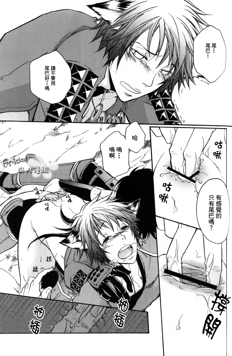 (HaruCC13) [FIZZCODE (Satoh Nishiki)] Materia (Sengoku Basara) [Chinese] - Page 13
