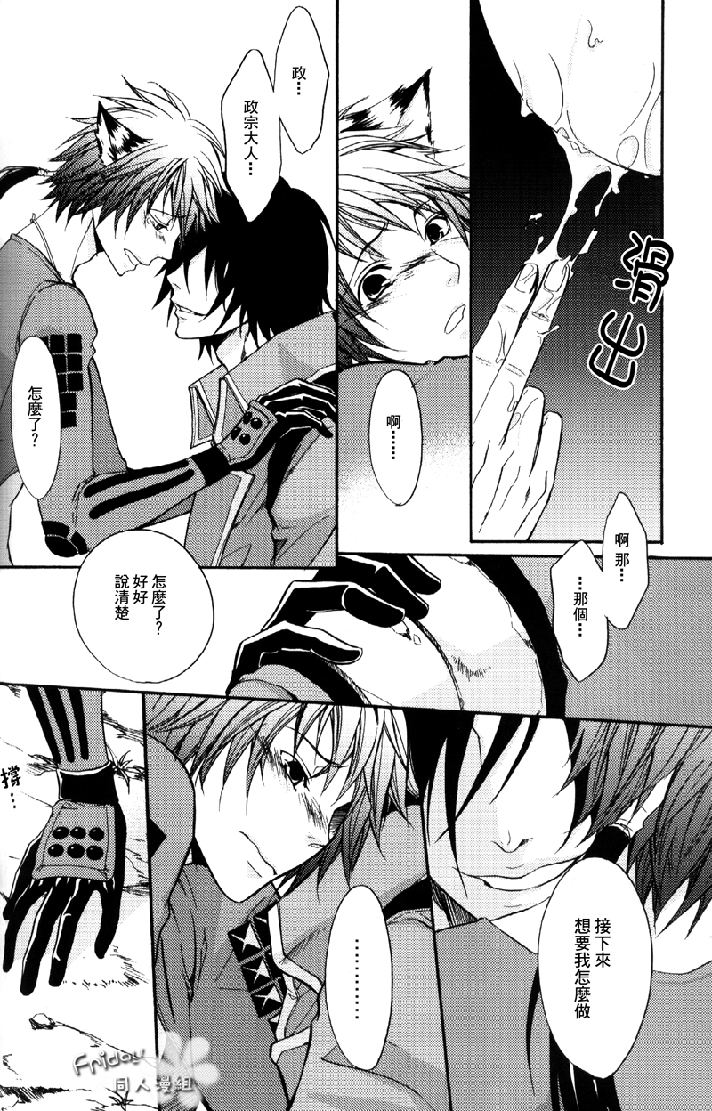 (HaruCC13) [FIZZCODE (Satoh Nishiki)] Materia (Sengoku Basara) [Chinese] - Page 14