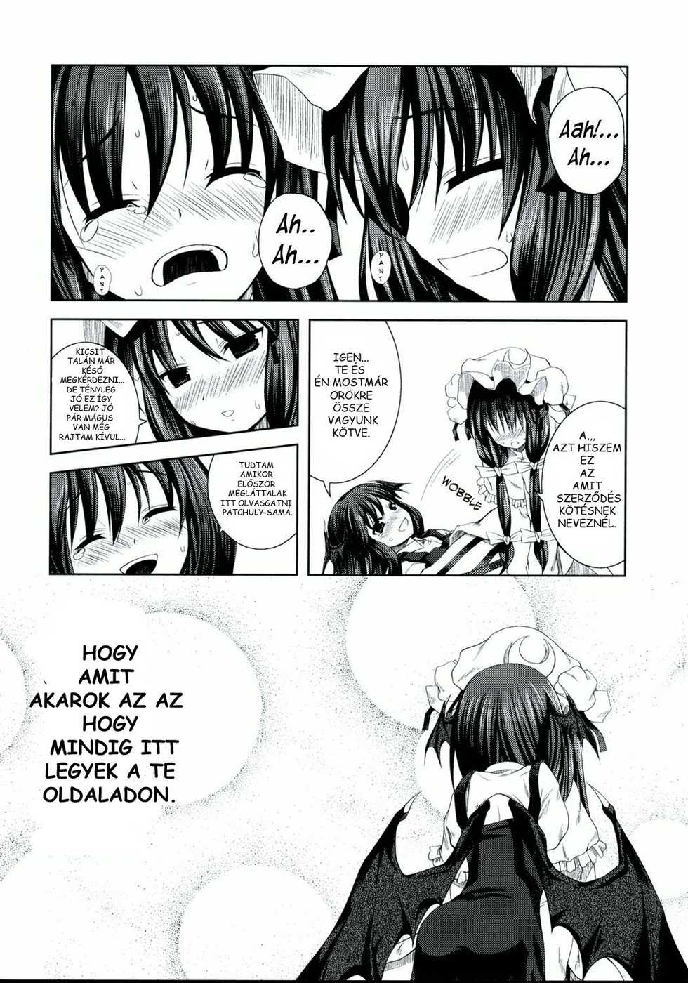 (ComiComi12) [Memoria (Tilm)] Akuma no Doukei (Touhou Project) [Hungarian] [ProfWilliam] - Page 19