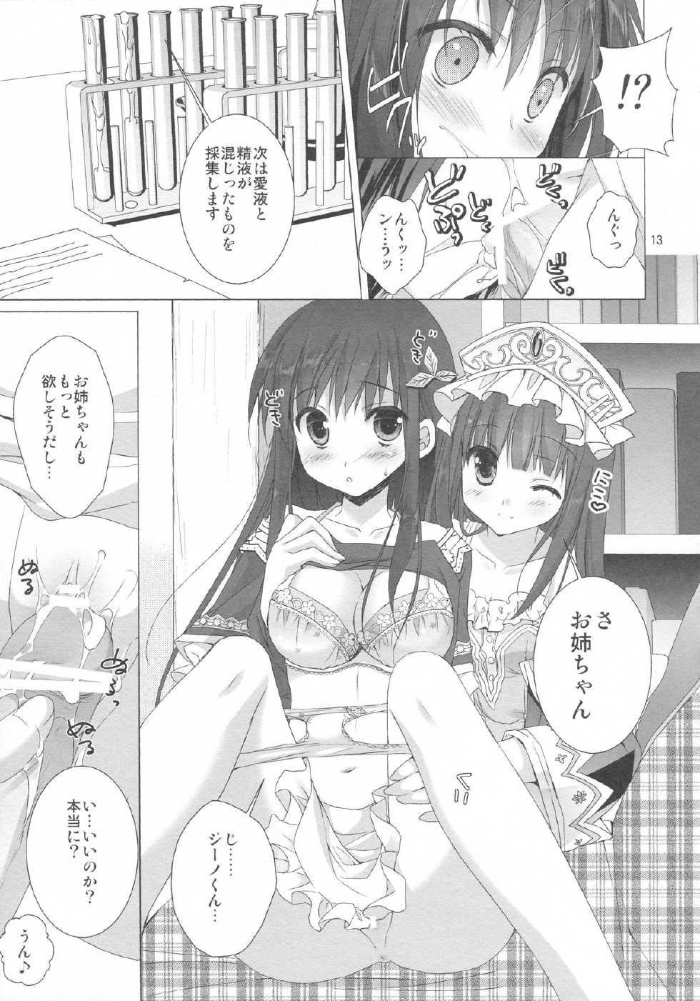 (COMIC1☆7) [KOKIKKO (Sesena Yau)] 2-Shuume no True End (Atelier Totori) - Page 11