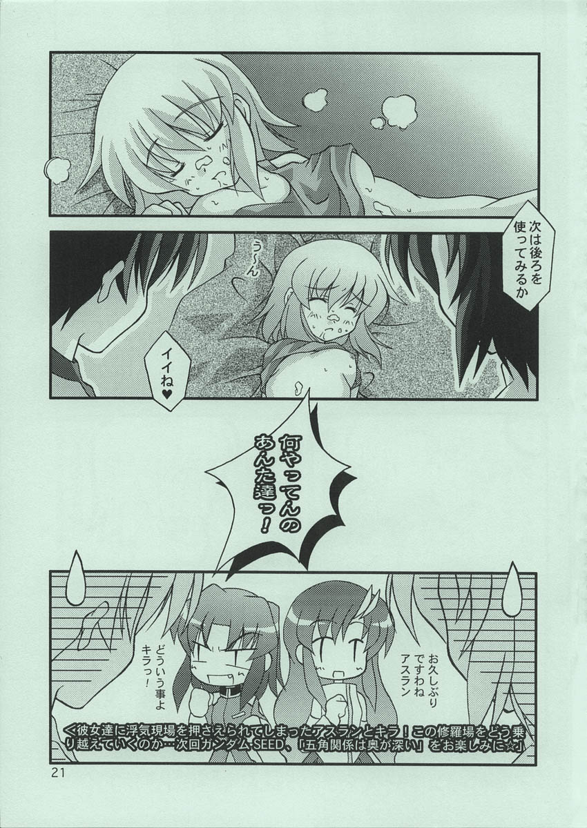 (CR33) [Kanan Koubou (Miyabi Kana)] Gekka Bijin (Kidou Senshi Gundam SEED) - Page 20