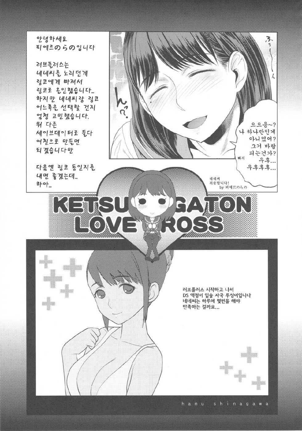 (C78) [Toluene Ittokan (Pierre Norano)] KETSU! MEGATON LOVE CROSS Nene (Love Plus) [Korean] [Team Arcana] - Page 24