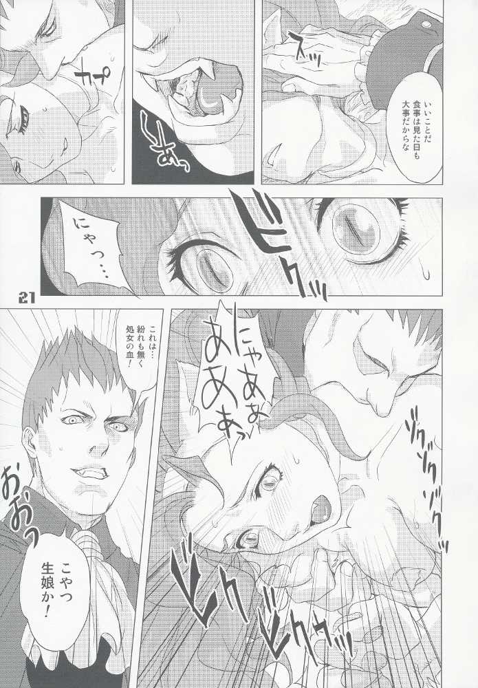 (C74) [Hohgakuya (Tohzai, Namboku)] ROUND02 (Darkstalkers) - Page 20