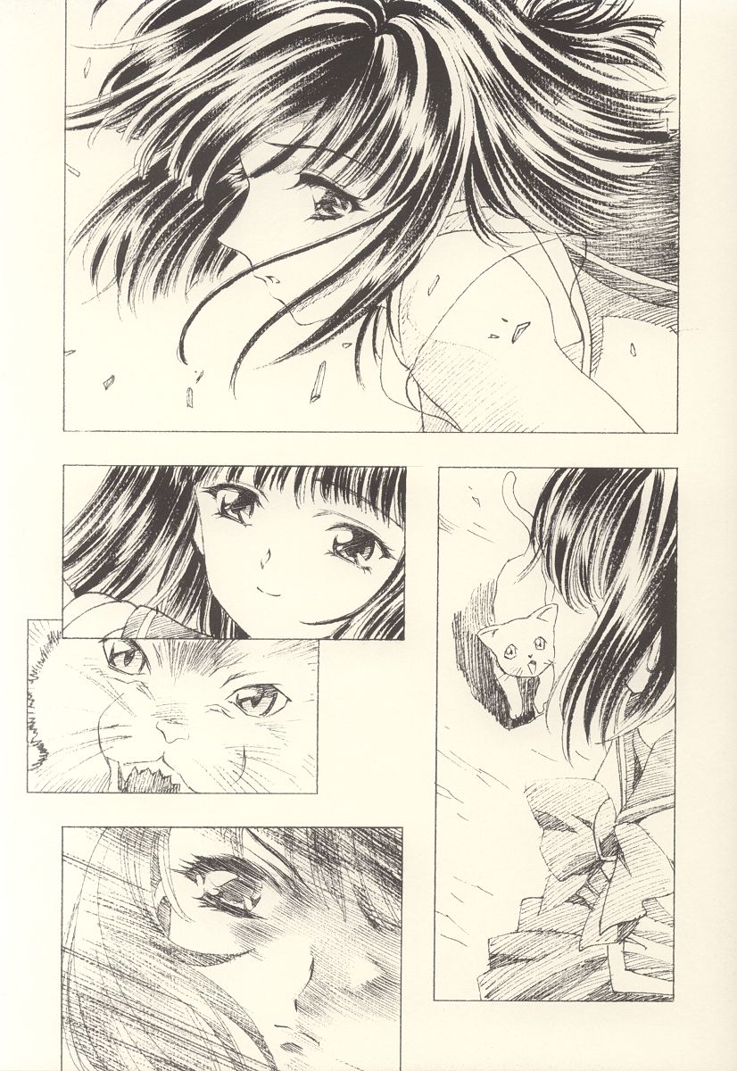 (CR31) [HenReiKai (Kawarajima Koh)] Hotaru Ame (Bishoujo Senshi Sailor Moon) - Page 25