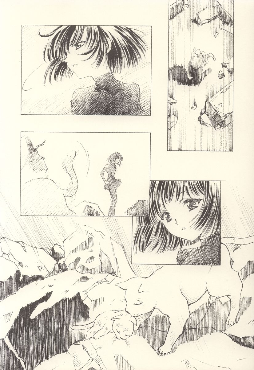 (CR31) [HenReiKai (Kawarajima Koh)] Hotaru Ame (Bishoujo Senshi Sailor Moon) - Page 28