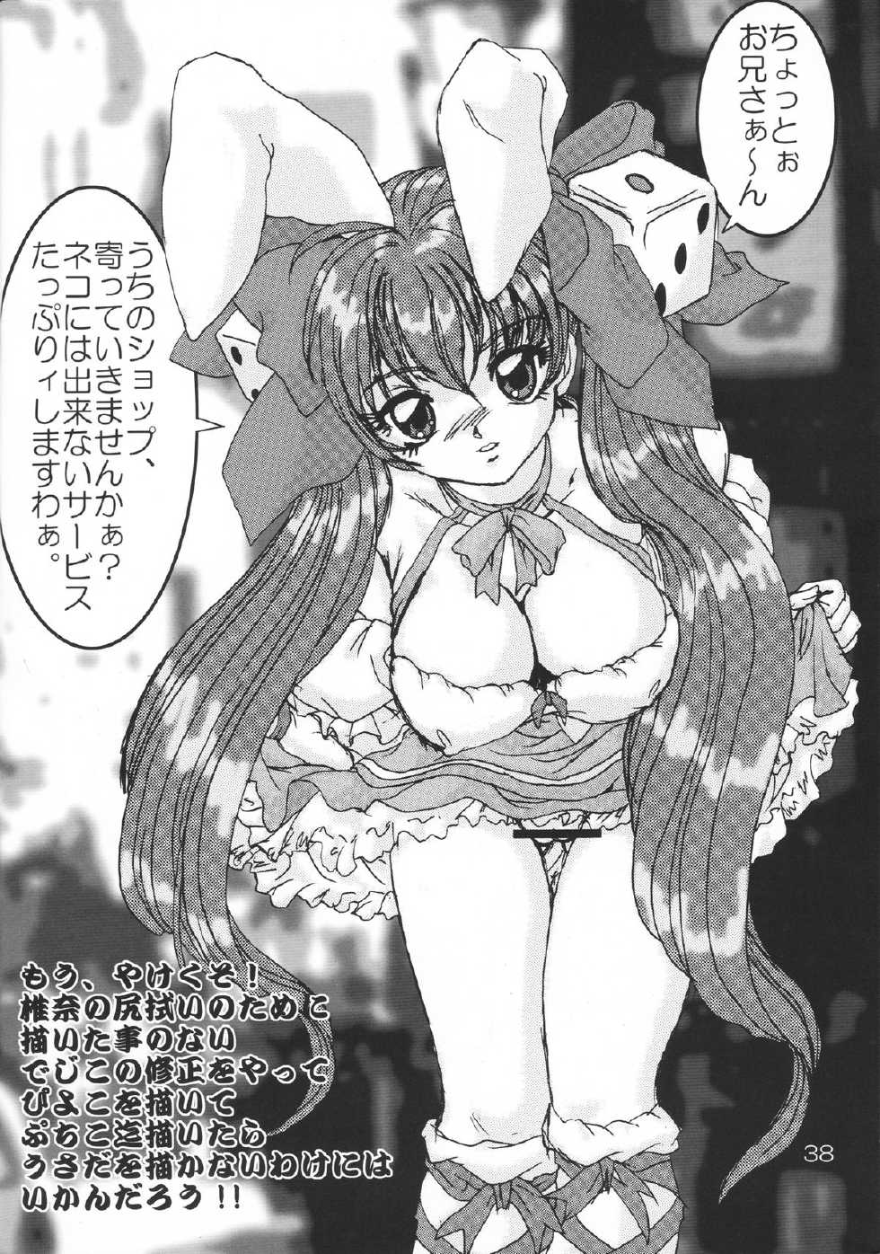 (C60) [CRAFTWORKS, SARA-UDON BORBY-G (Natiusa, Kachoudou, Shiina Kei)] Nekomimi Maid Robo Nyo II (Zoids, Martian Successor Nadesico) - Page 37