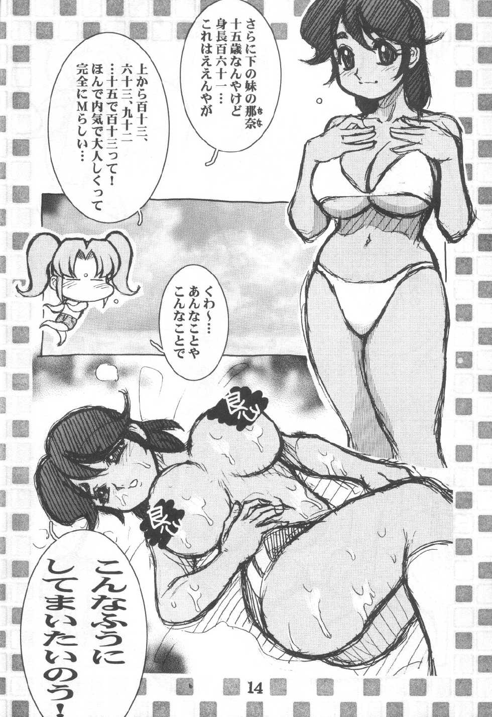 (C61) [Cobanzame (Koshow Showshow)] Koshou Sunzen Koshouchuu 8 Junbigou Ayase-ke No Hitobito (Various) - Page 14