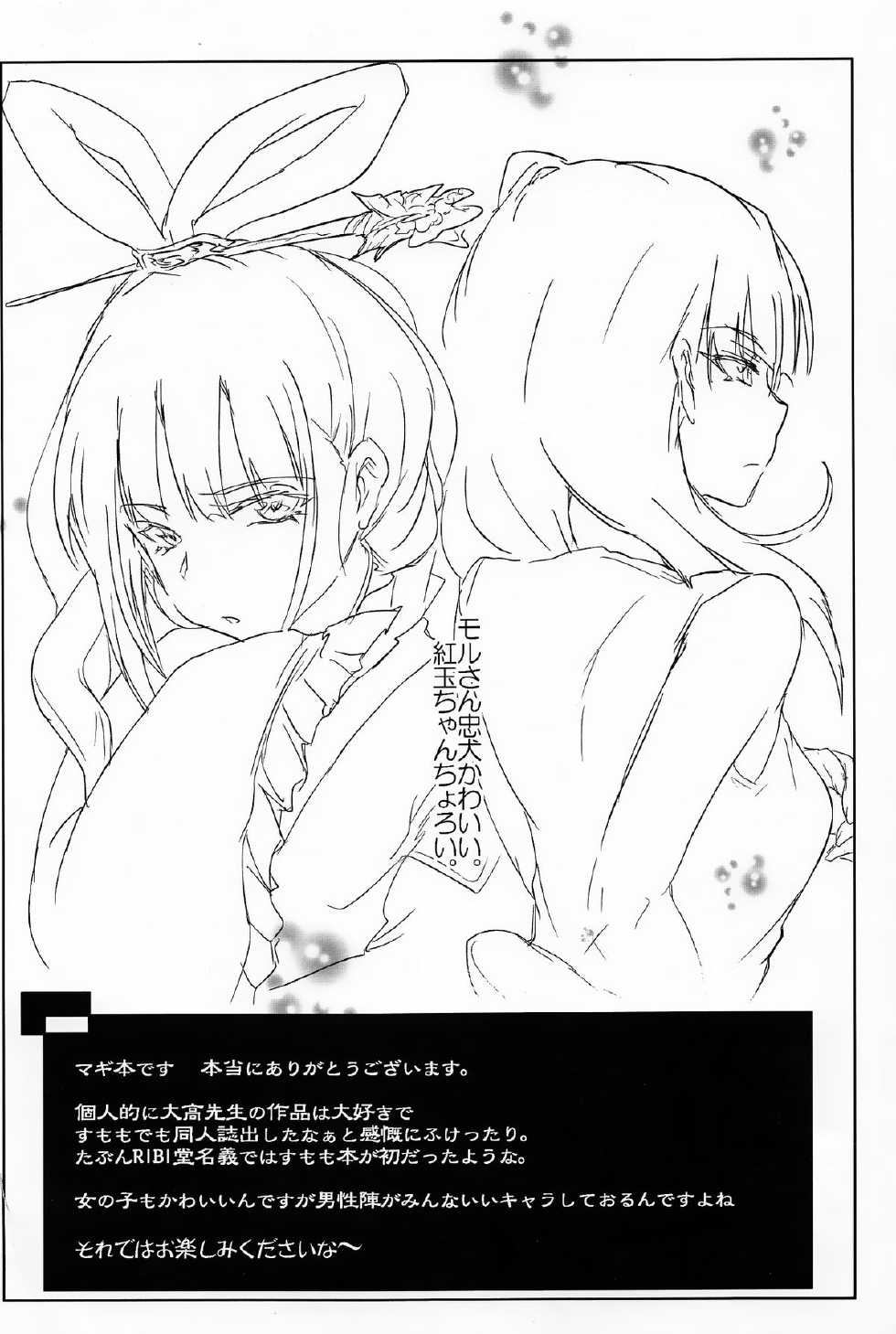 (COMIC1☆7) [RIBI Dou (Higata Akatsuki)] Nettaiya -MAGIGIRLS- (Magi: The Labyrinth of Magic) - Page 3