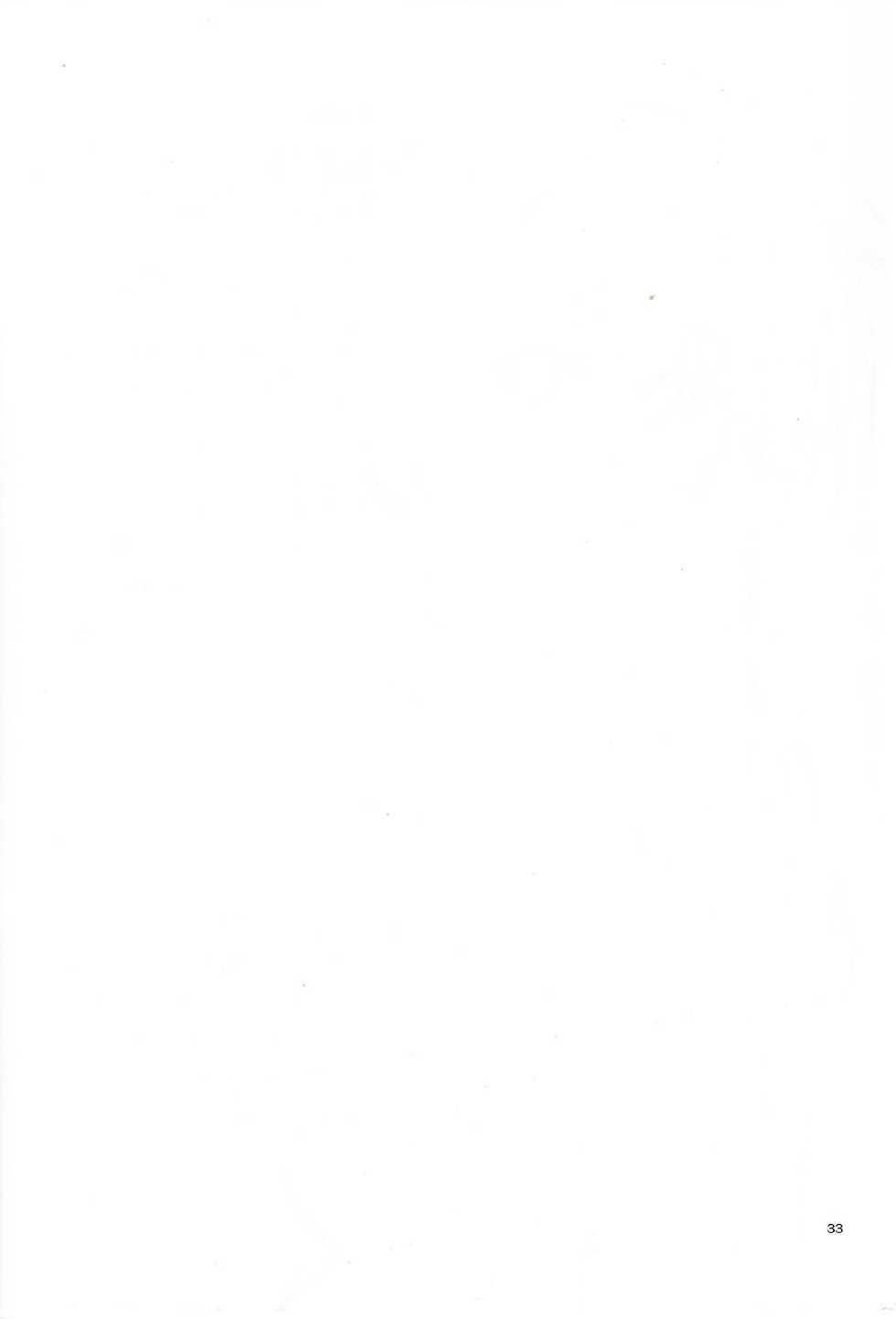 (COMIC1☆7) [IV VA SHIN (Mikuni Mizuki) Home Sweet Home～Fate hen 4～ (Mahou Shoujo Lyrical Nanoha) [Chinese] [脸肿汉化组] - Page 32