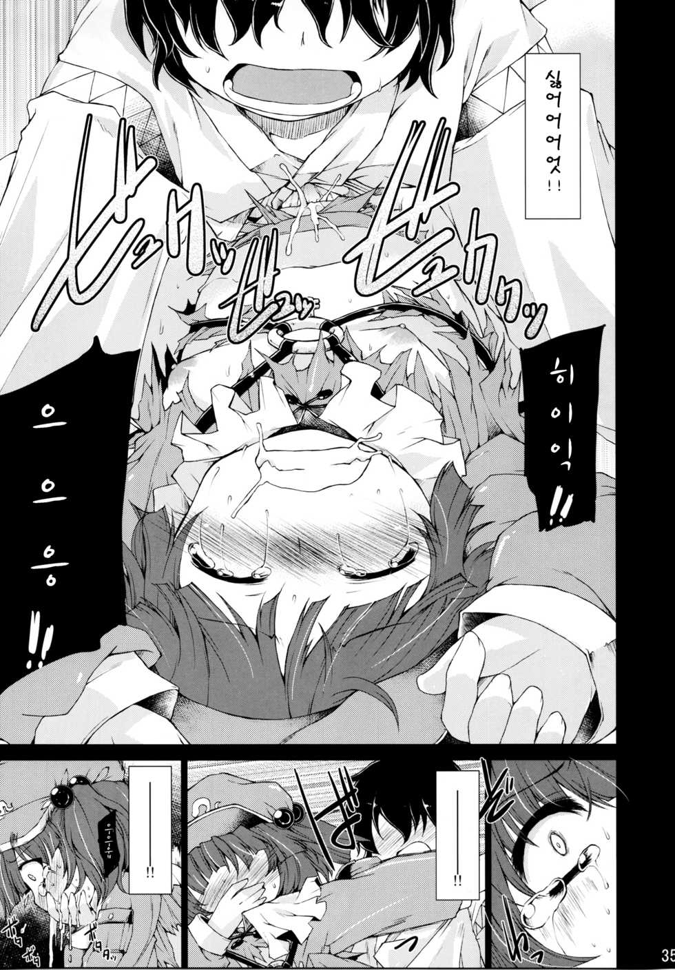 (Reitaisai 8) [IncluDe, Team Inazuma (Foolest, Aizawa)] Do it!! (Touhou Project) [Korean] - Page 35