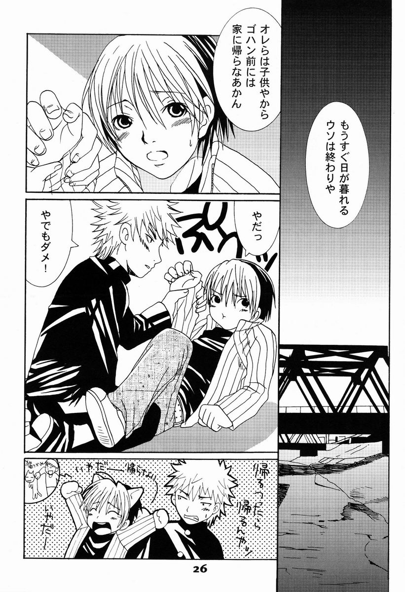 (C65) [Chika Sekai (Palco Nagashima)] Terquoiz (Hikaru no Go) - Page 25