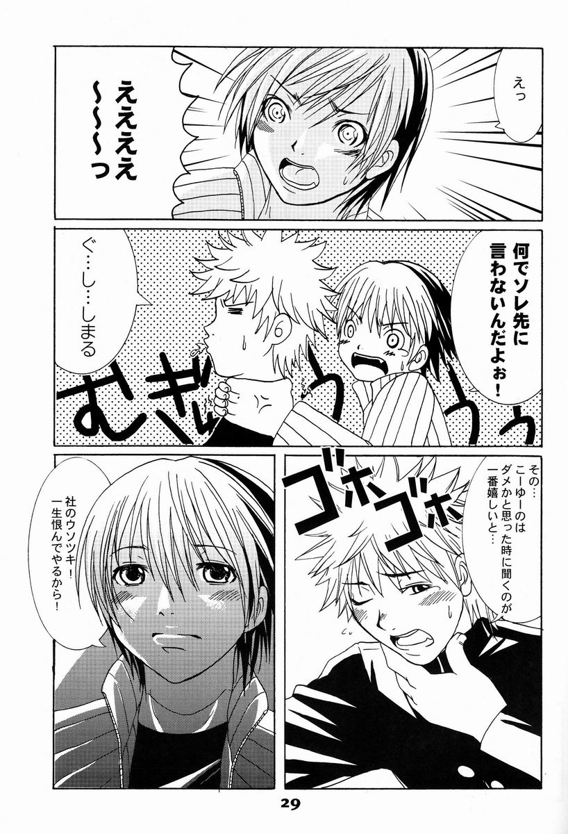(C65) [Chika Sekai (Palco Nagashima)] Terquoiz (Hikaru no Go) - Page 28