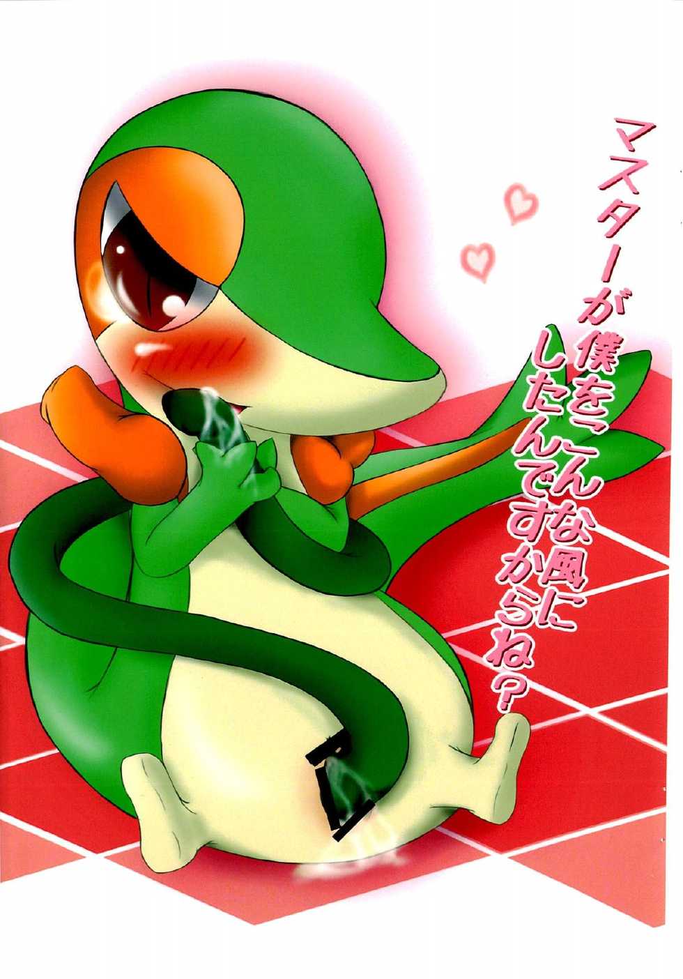 (Fur-st 4) [Nana-ya (Nana)] I Love Snivy (Pokémon) - Page 3
