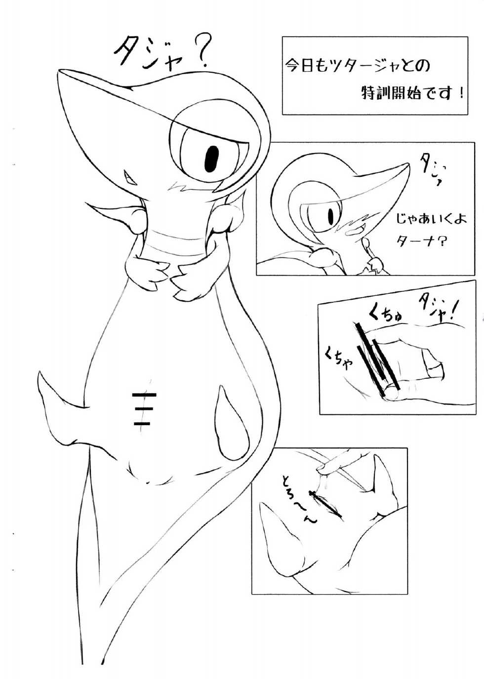 (Fur-st 4) [Nana-ya (Nana)] Himitsu no Training! (Pokémon) - Page 2