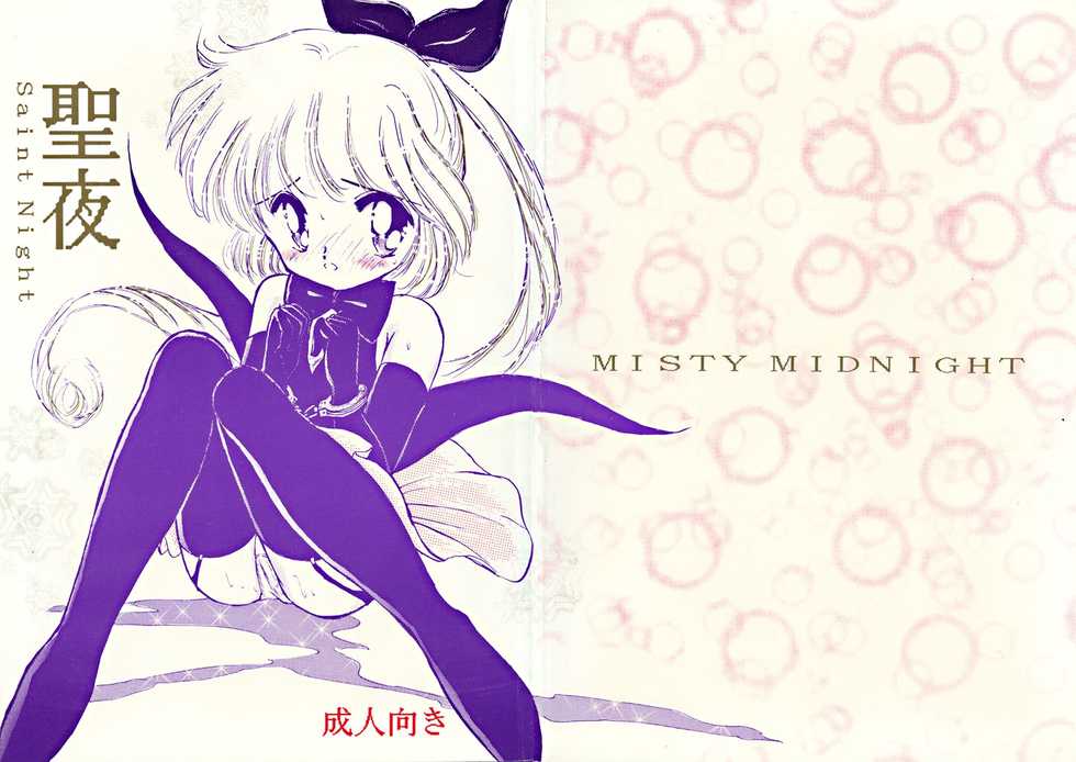 [MISTY MIDNIGHT (Shirasaka Biyu)] Seiya Saint Night (Kaitou Saint Tail) - Page 2