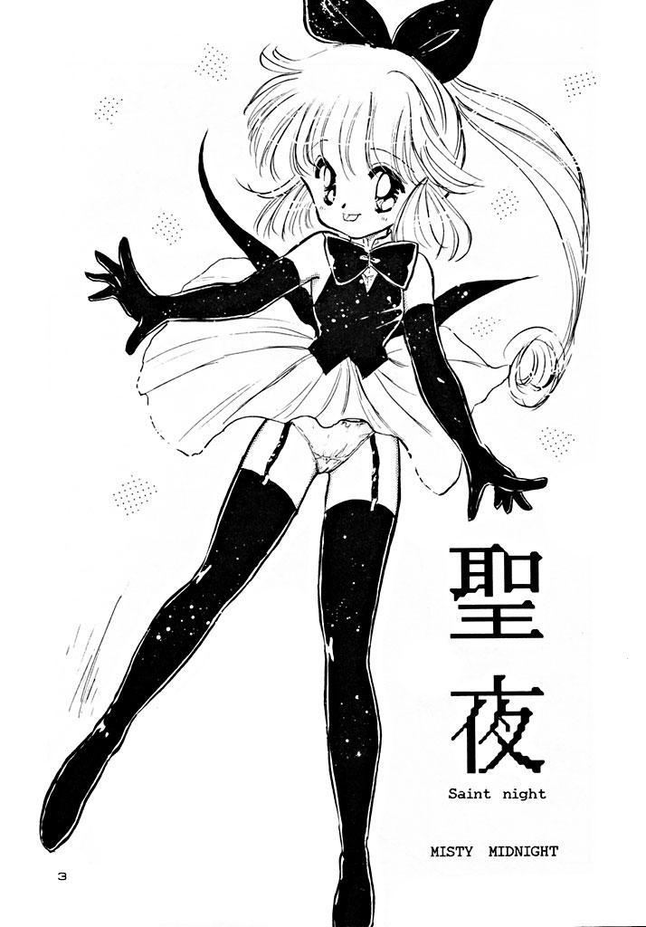 [MISTY MIDNIGHT (Shirasaka Biyu)] Seiya Saint Night (Kaitou Saint Tail) - Page 3