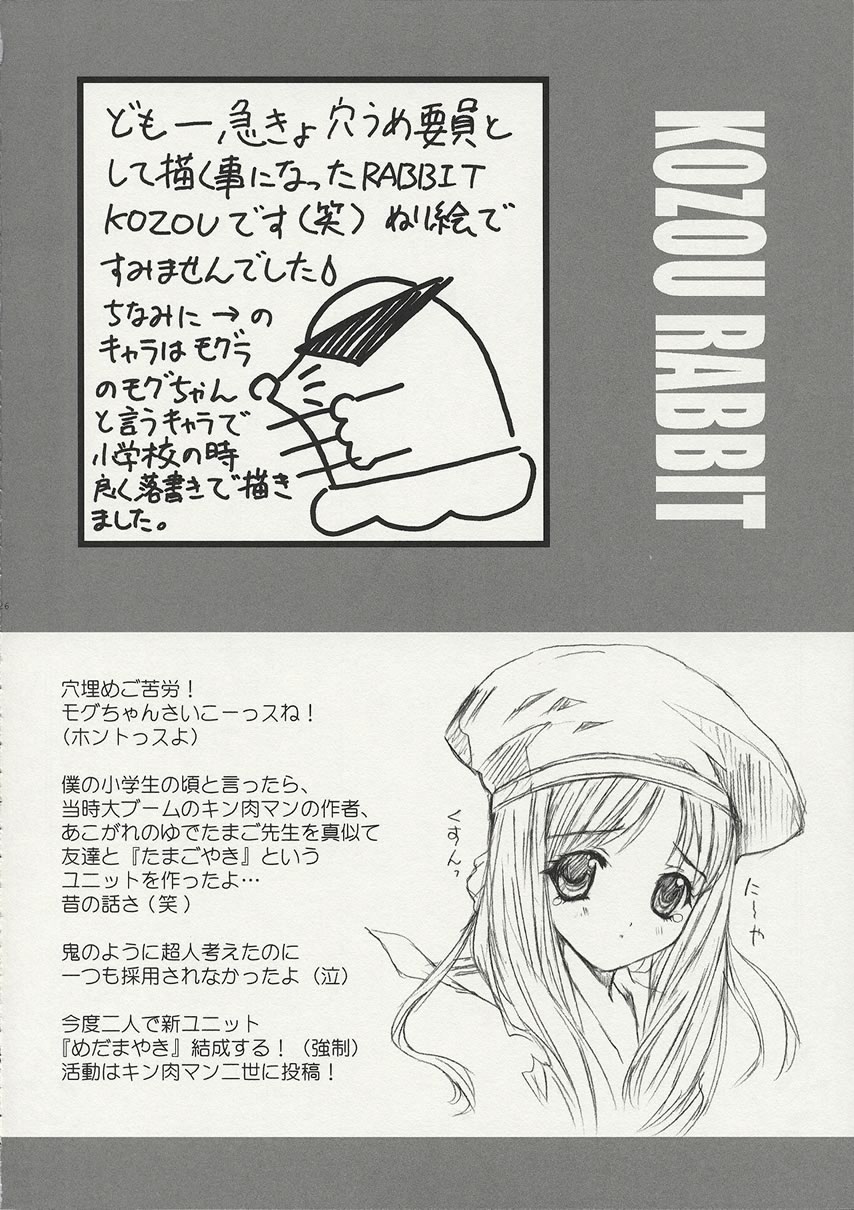 (C61) [Shikkokuno J.P.S. (various)] BLACK BEAUTY 2001 -PLUGGING IN- (various) - Page 25