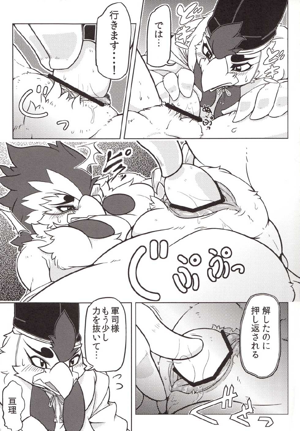 (Kemoket 2) [Mercuro (Ri Suou)] Choukei (Gingitsune) - Page 12