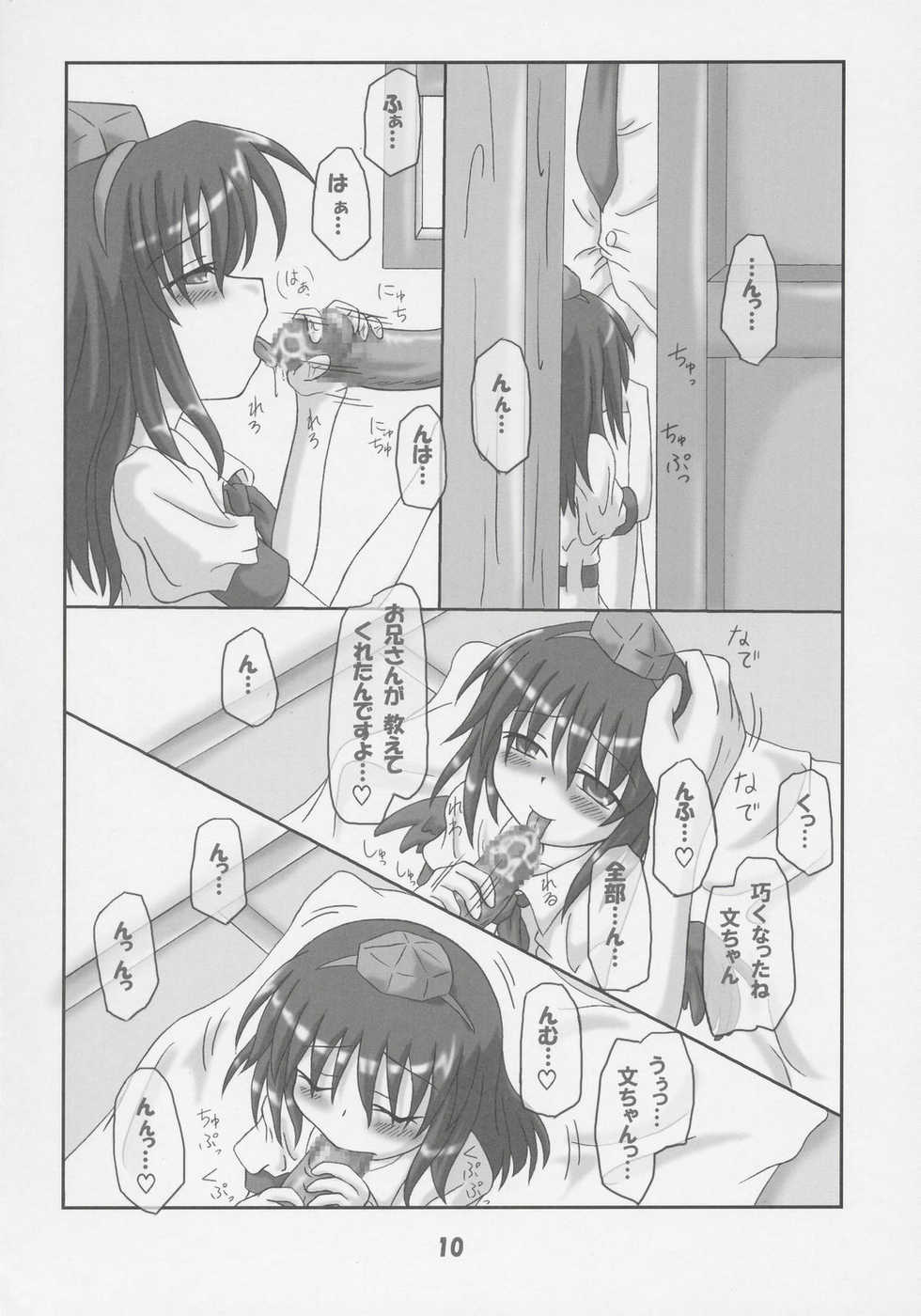 (Comic Castle 2005) [Schwester (Shirau Inasaki)] Rollin 21 (Touhou Project) - Page 9