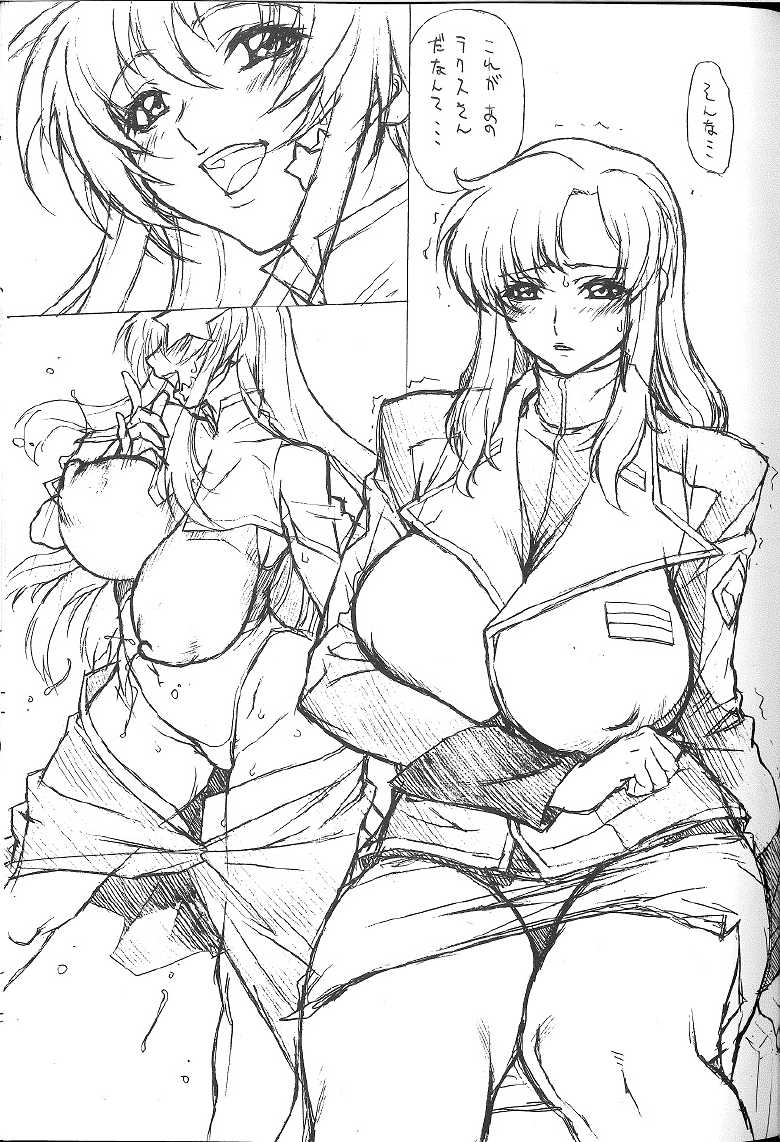 [TITANCOLOR BRAND (Inoue Takuya)] Chichishiki 4.5 -Tora Ver- (Kidou Senshi Gundam SEED DESTINY) - Page 2