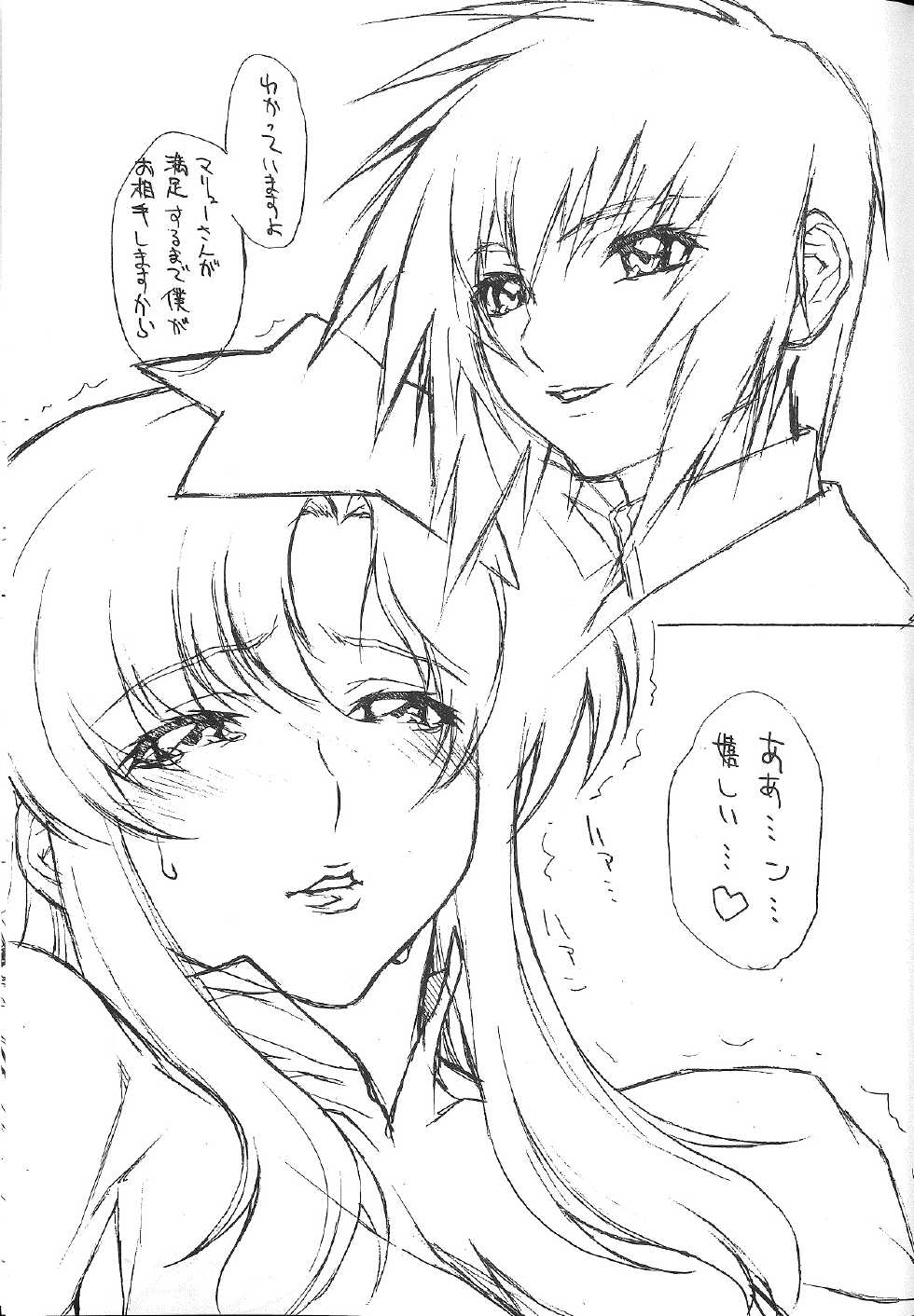 [TITANCOLOR BRAND (Inoue Takuya)] Chichishiki 4.5 -Tora Ver- (Kidou Senshi Gundam SEED DESTINY) - Page 10