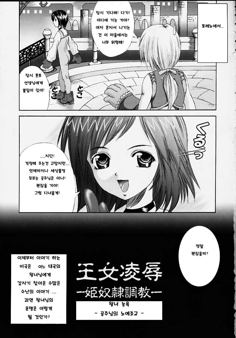 (C58) [Abura katabura (Papipurin)] Oujo Ryoujoku Garnet (Final Fantasy IX) [Korean] - Page 2