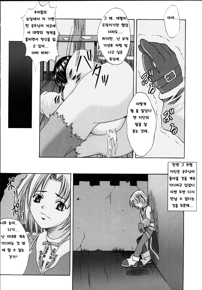 (C58) [Abura katabura (Papipurin)] Oujo Ryoujoku Garnet (Final Fantasy IX) [Korean] - Page 20