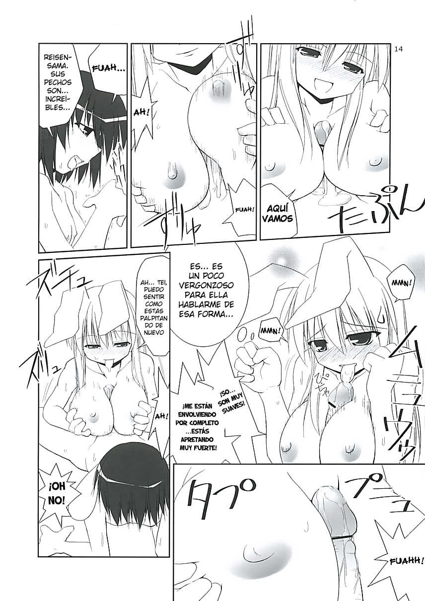 (C68) [Toybox (Jacky, Kurikara)] Inaba Box (Touhou Project) [Spanish] [Ahegao] - Page 14