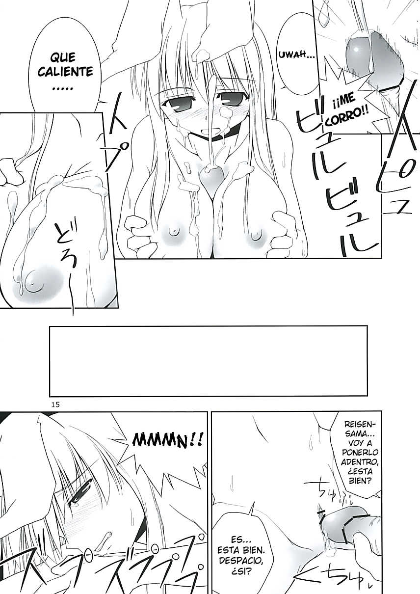 (C68) [Toybox (Jacky, Kurikara)] Inaba Box (Touhou Project) [Spanish] [Ahegao] - Page 15