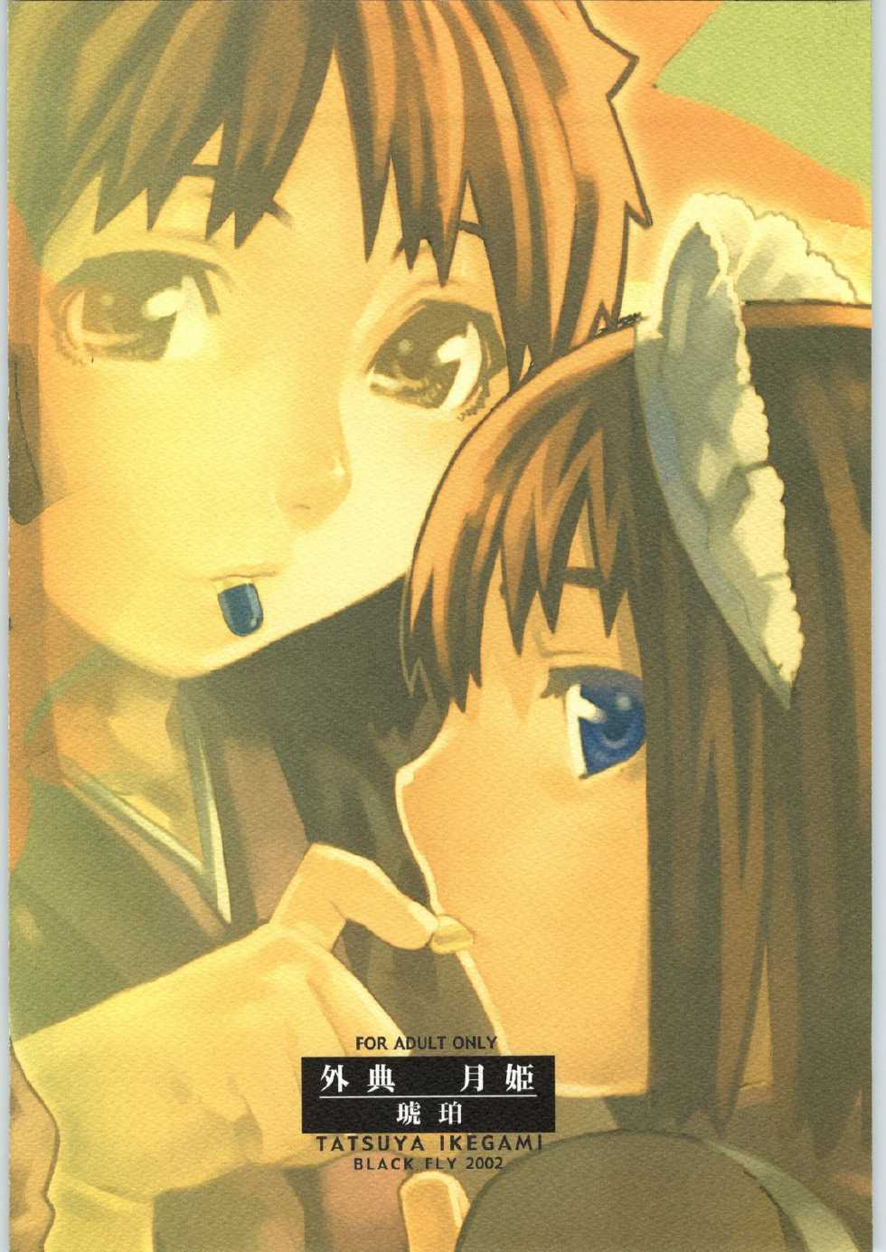 (C62) [BLACK FLY (Ikegami Tatsuya)] Soto Ten Tsukihime_Kohaku (Tsukihime) - Page 34