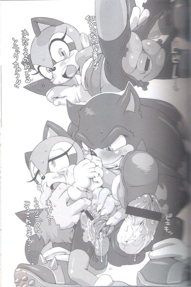 (C82) [Tengai Aku Juumonji (Akuno Toujou)] Ore no Natsu 2012 (My Little Pony Friendship is Magic, Sonic The Hedgehog) - Page 16