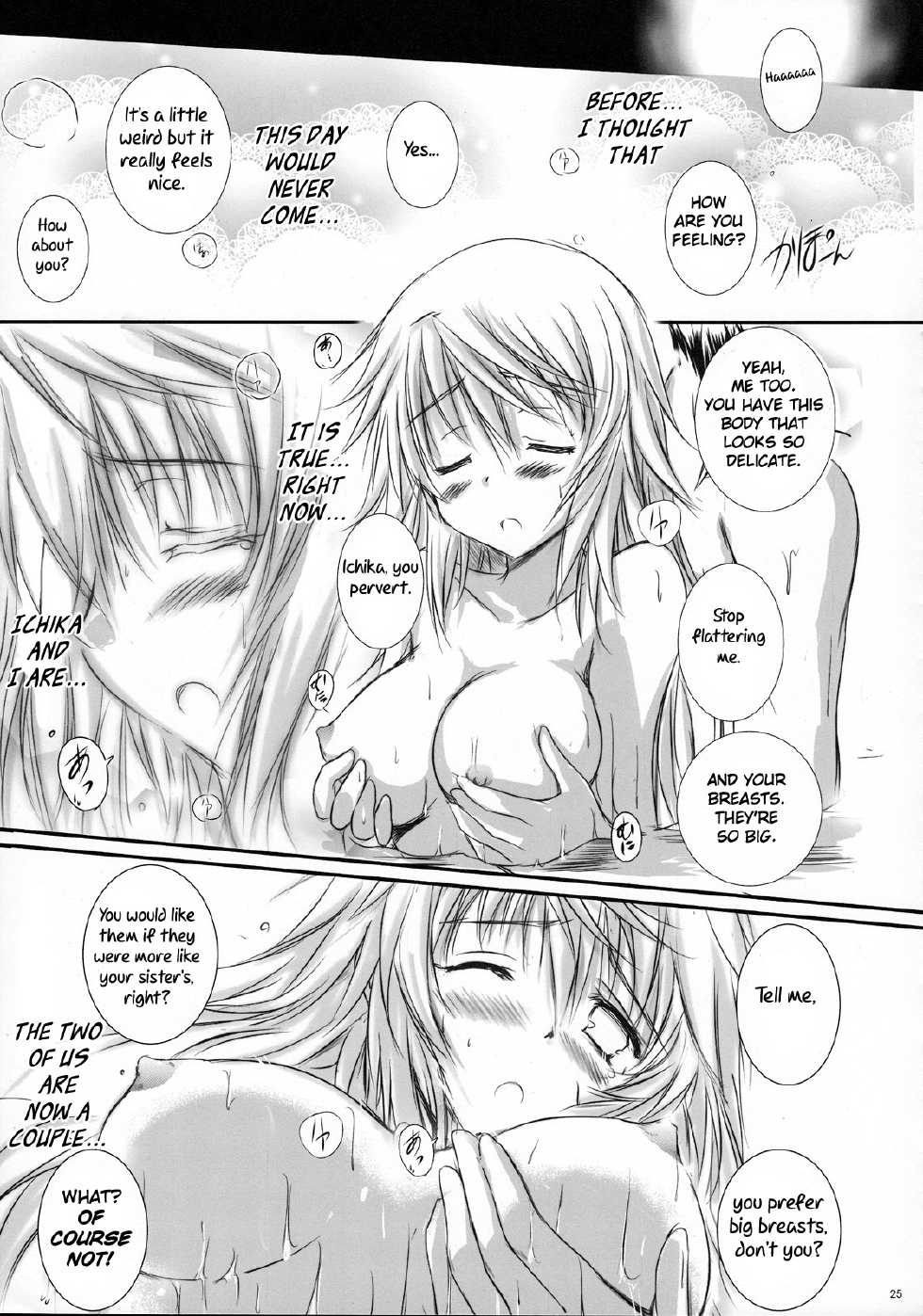 (COMIC1☆5) [SONIC WINTER (Tsukishima Kai)] Kimi wa Boku no Takaramono | You're My Treasure (IS <Infinite Stratos>) [English] (Rapid Switch) - Page 24