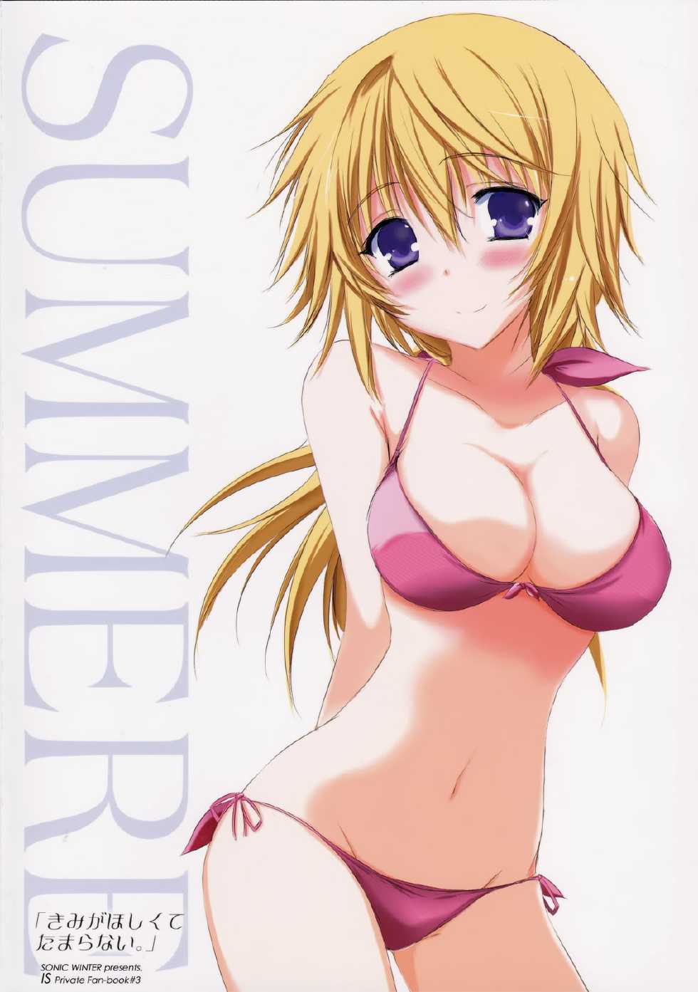 (SC57) [SONIC WINTER (Tsukishima Kai)] Kimi ga Hoshikute Tamaranai. | Can't Stop Loving You (IS <Infinite Stratos>) [English] (Rapid Switch) - Page 25