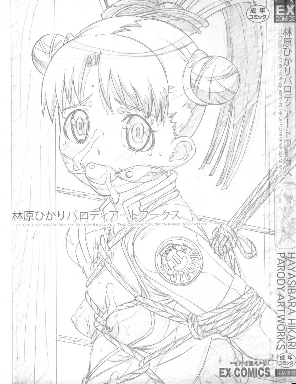 [Hayashibara Hikari] Parody Artworks (Various) - Page 2