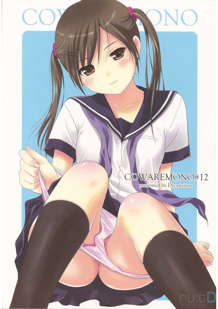 (C78) [Ocarina (Dyontairan)] Cowaremono #12 [Korean] - Page 1