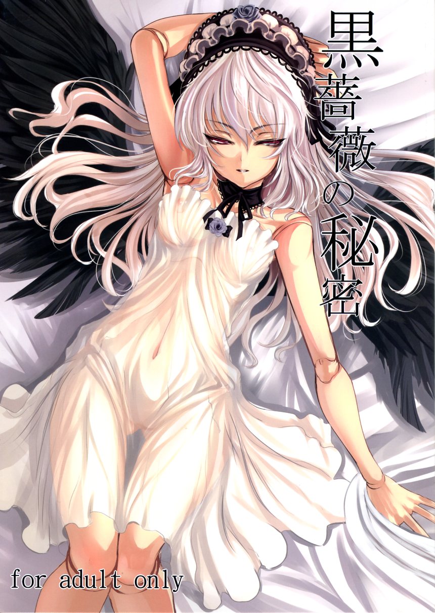 (C79) [LAMINARIA (Shiokonbu)] Kurobara no Himitsu (Rozen Maiden) [Chinese] - Page 1