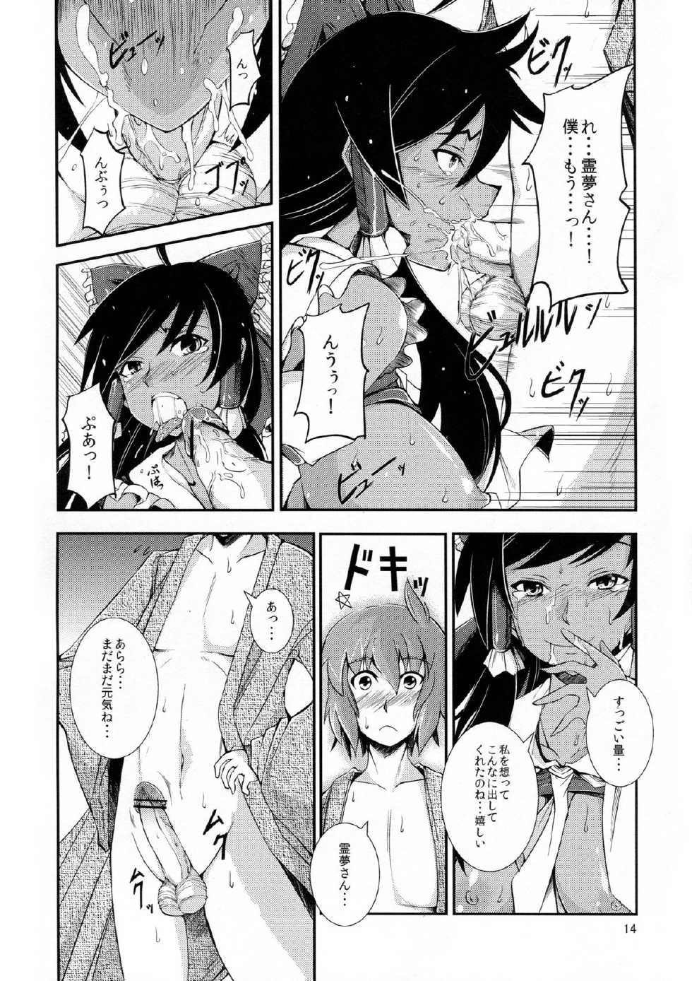 (Reitaisai 10) [JUNK×JUNK (kojou)] Kuro Miko no Hen ~Sono Ni~ (Touhou Project) - Page 14