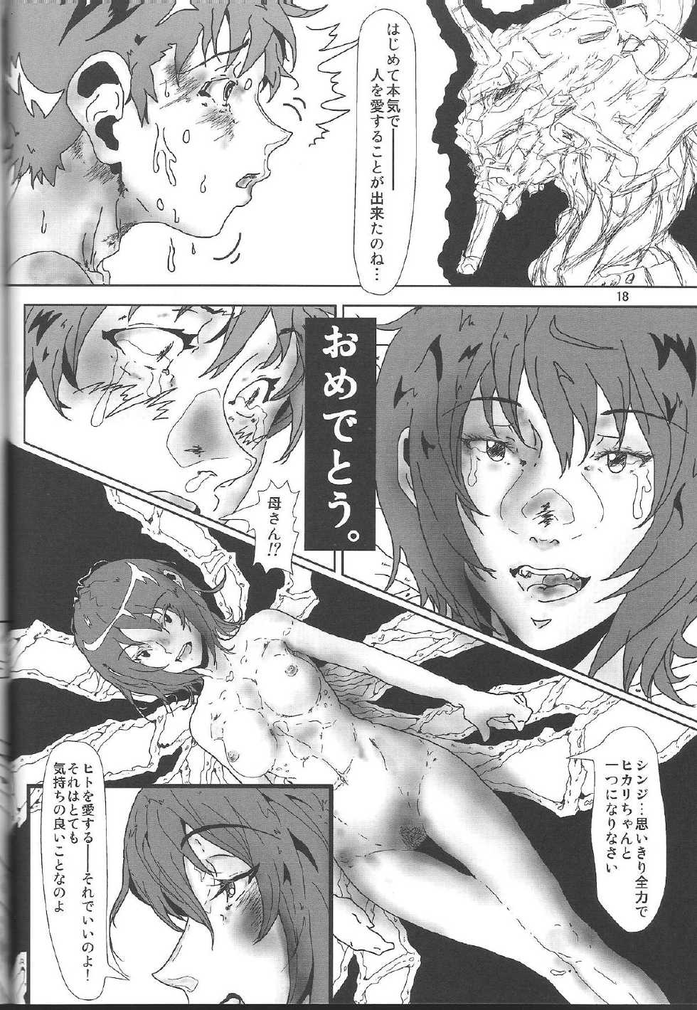 [Nekofukurou (wagna] Chotto danshi chanto yatte yo!! [Neon Genesis Evangelion] - Page 17