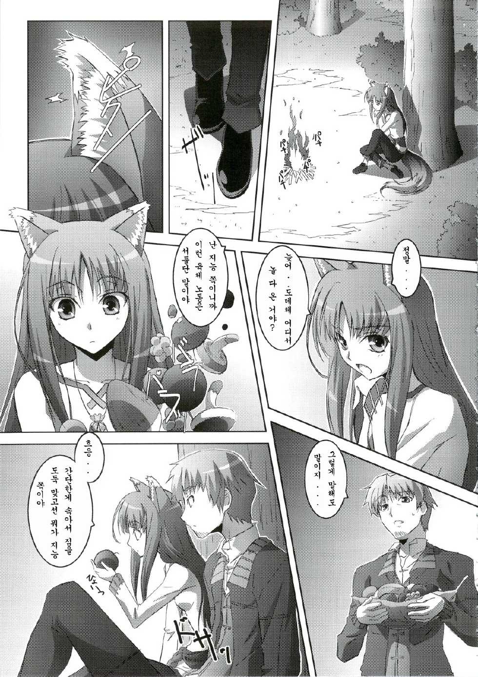 (C74) [Mahirutei (Izumi Mahiru)] Horon Hororon (Spice and Wolf) [Korean] - Page 4