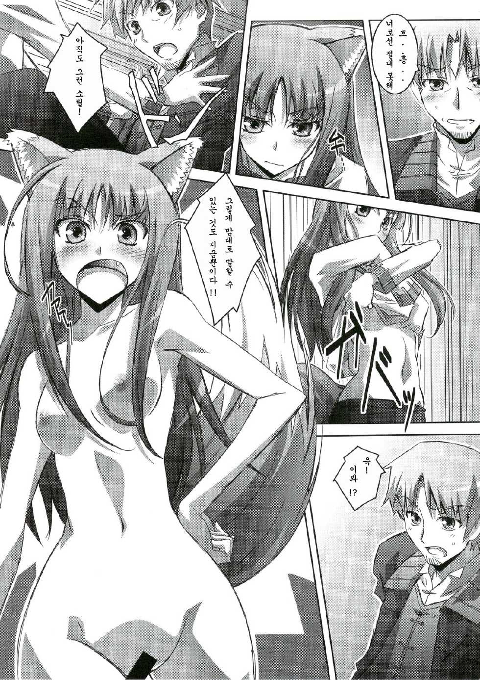 (C74) [Mahirutei (Izumi Mahiru)] Horon Hororon (Spice and Wolf) [Korean] - Page 10