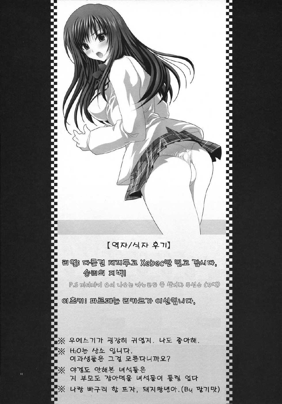 (SC38) [FANTASY WIND (Minazuki Satoshi, Shinano Yura)] Kotegawa-san to Issho (To LOVE-Ru) (korean) - Page 13
