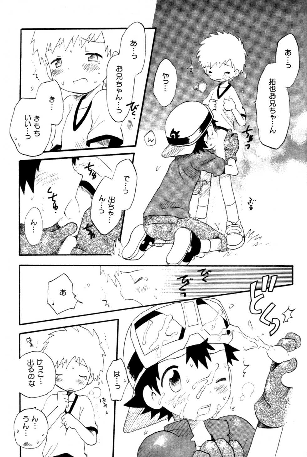 [Kuruguru DNA (Hoshiai Hilo)] Seishun 18 Kin Kippu (Digimon Frontier) - Page 10