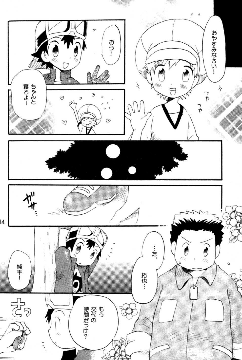 [Kuruguru DNA (Hoshiai Hilo)] Seishun 18 Kin Kippu (Digimon Frontier) - Page 13