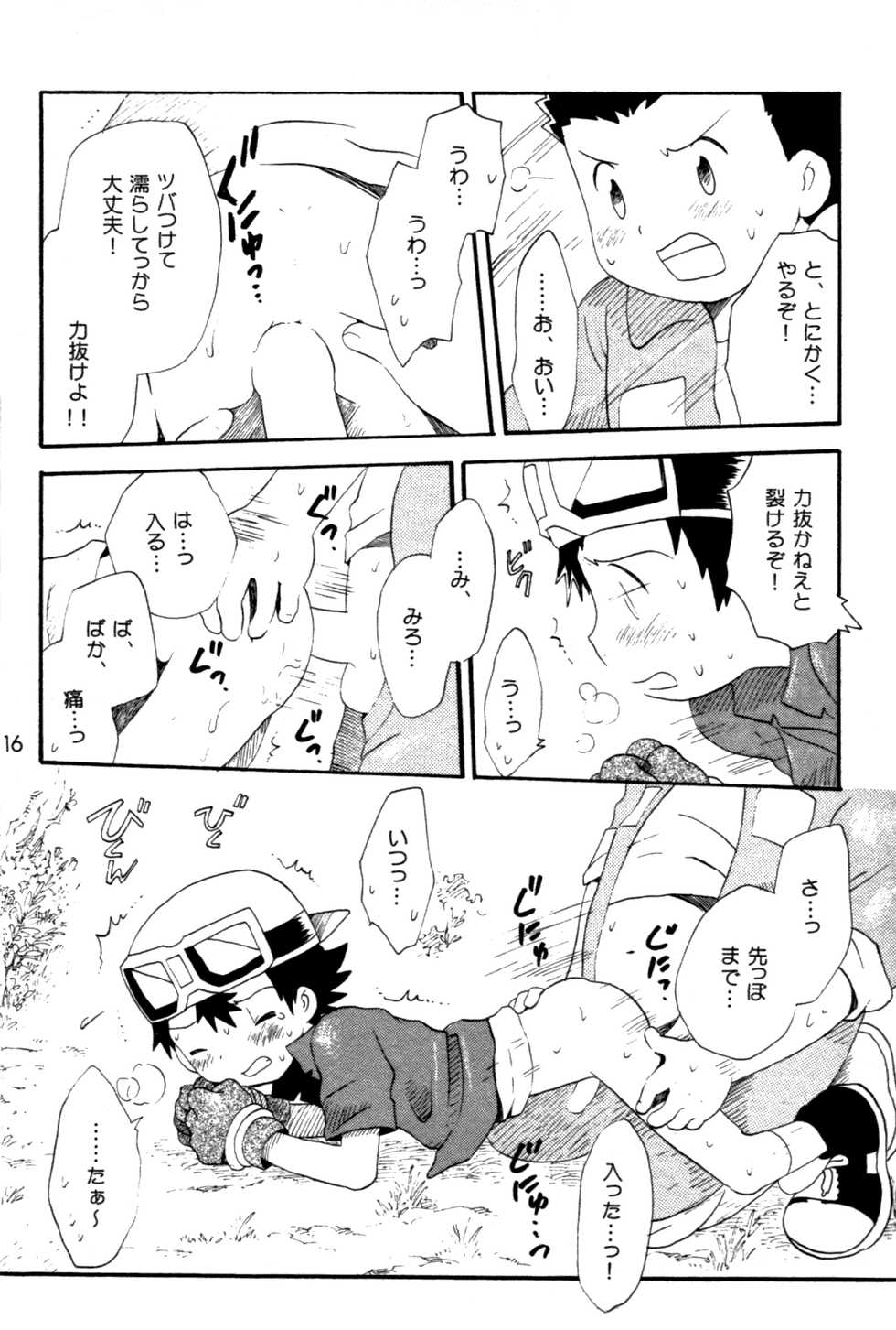 [Kuruguru DNA (Hoshiai Hilo)] Seishun 18 Kin Kippu (Digimon Frontier) - Page 15