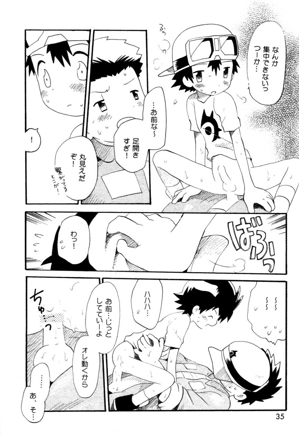 [Kuruguru DNA (Hoshiai Hilo)] Seishun 18 Kin Kippu (Digimon Frontier) - Page 34