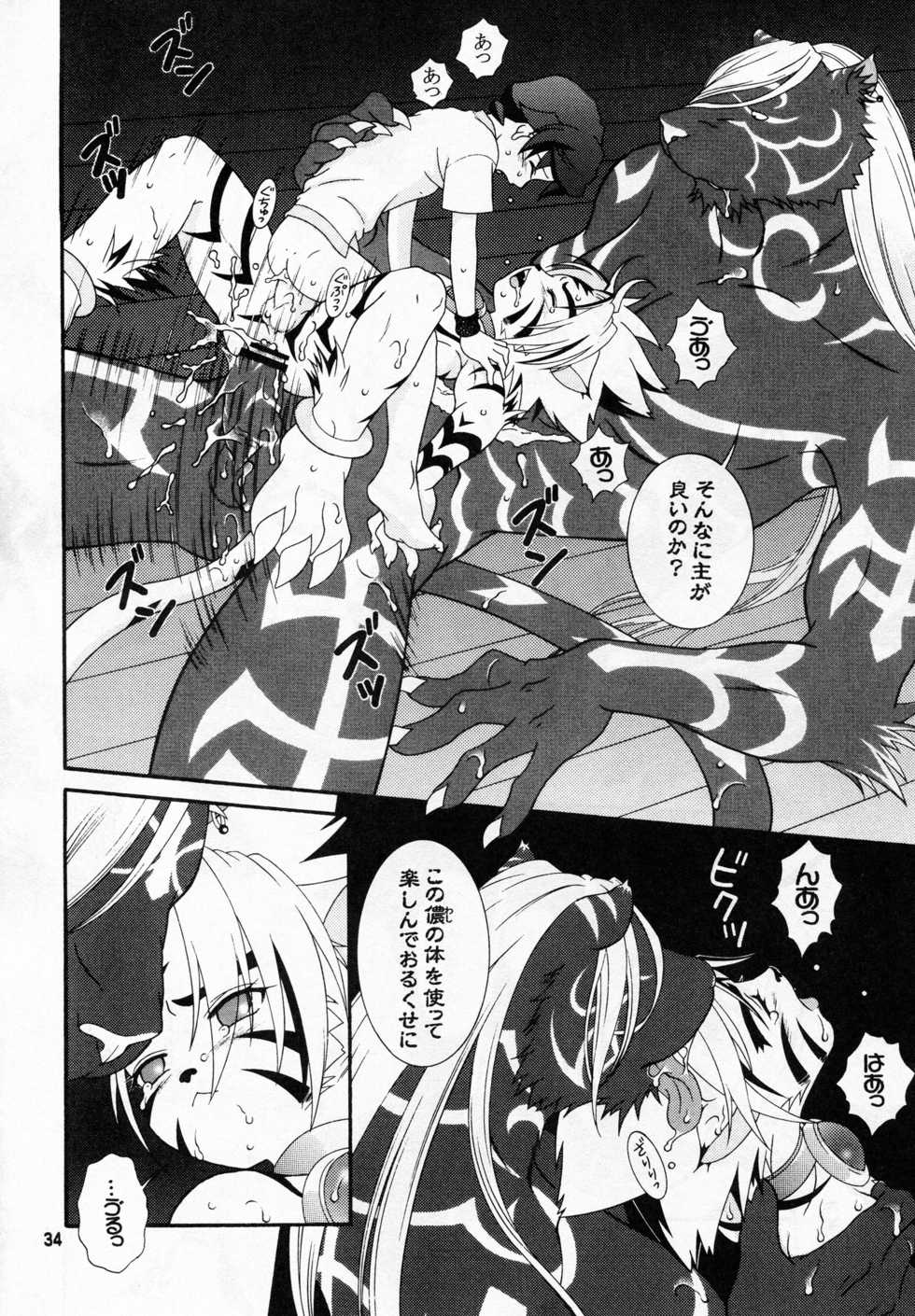[BIOLOGIST (Fubuki Yuki, Pometa)] Rangetsu Matsuri - Tenryuu Byakko Hen (Onmyou Taisenki) - Page 35
