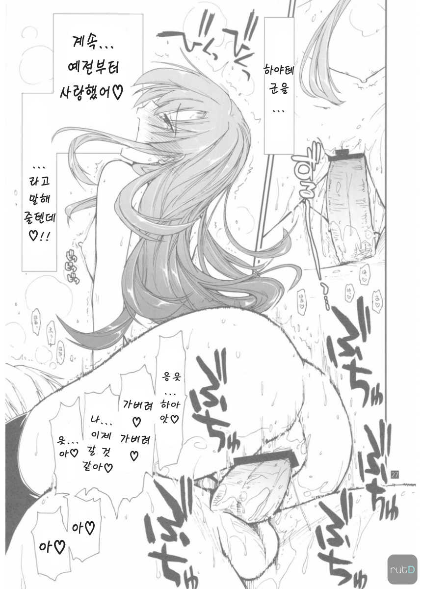 (C79) [Girigiri Nijiiro (Kamino Ryu-ya)] Shitsuji wa Tomodachi ga Sukunai + Omakebon (Hayate no Gotoku!) [Korean] [ru:tD] - Page 27