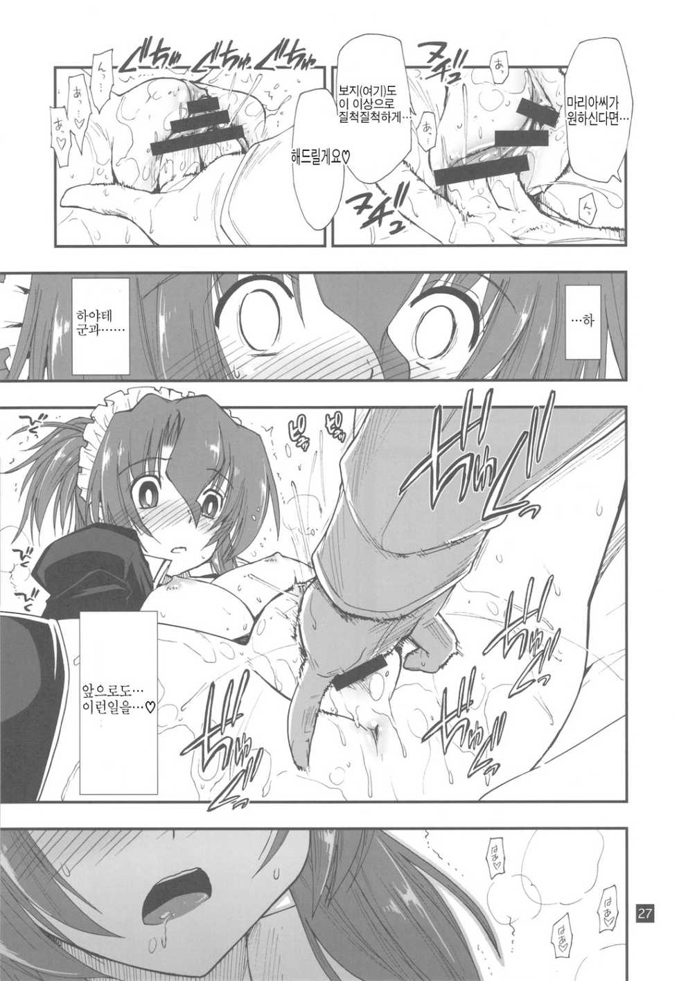 (C78) [GiriGiri Nijiiro (Kamino Ryu-ya)] Nanoda!!!!! + Omake | 나노닷!!!!! (Hayate no Gotoku!) [Korean] [팀 면갤] - Page 27