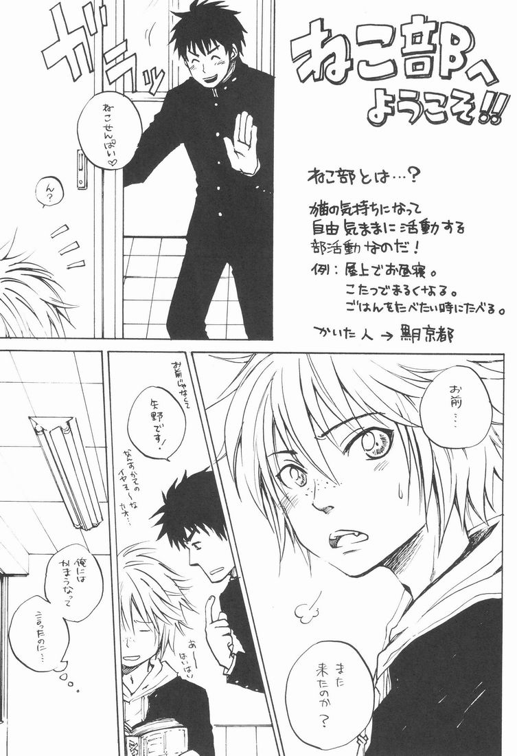 (HaruCC18) [Shounen Gekigakutai, Keiraku Kairo, KPTM'S (Hayashida, Toba Keisa, Kurotsuki Kyouto)] Shounen Curry Lunch - Page 24