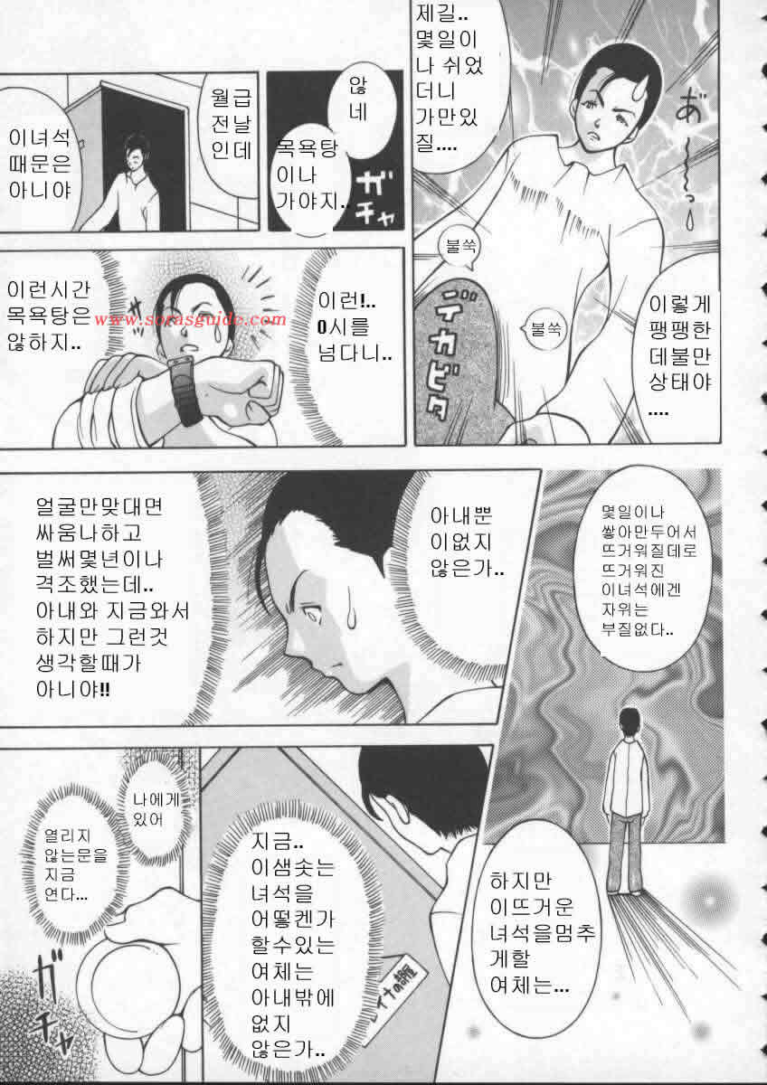 [Kashi Michinoku] Pururun Girl (korean) - Page 29